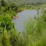 Damdama Lake